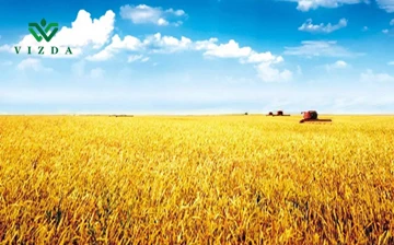 Agricultural Exports nyob rau hauv Netherlands