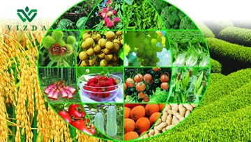 Kev tshem tawm qhov txwv tsis pub nkag mus rau Ukrainian Agricultural Product...