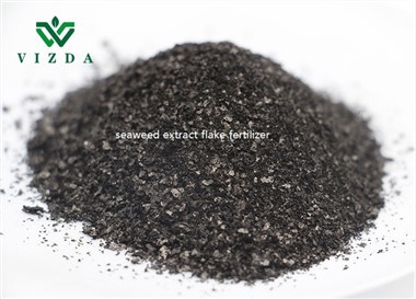 Seaweed Extract Rau Paj