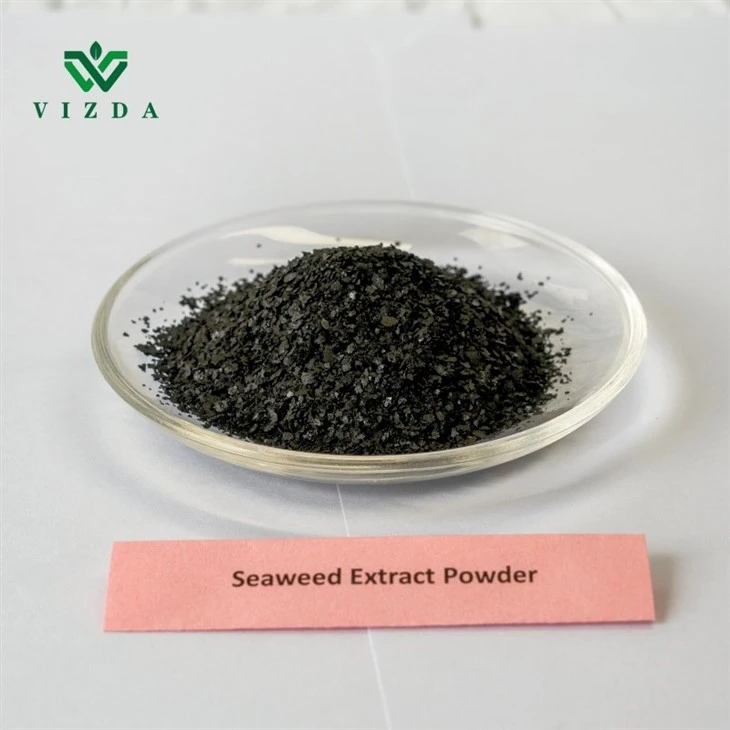 Soluble Seaweed Extract Powder