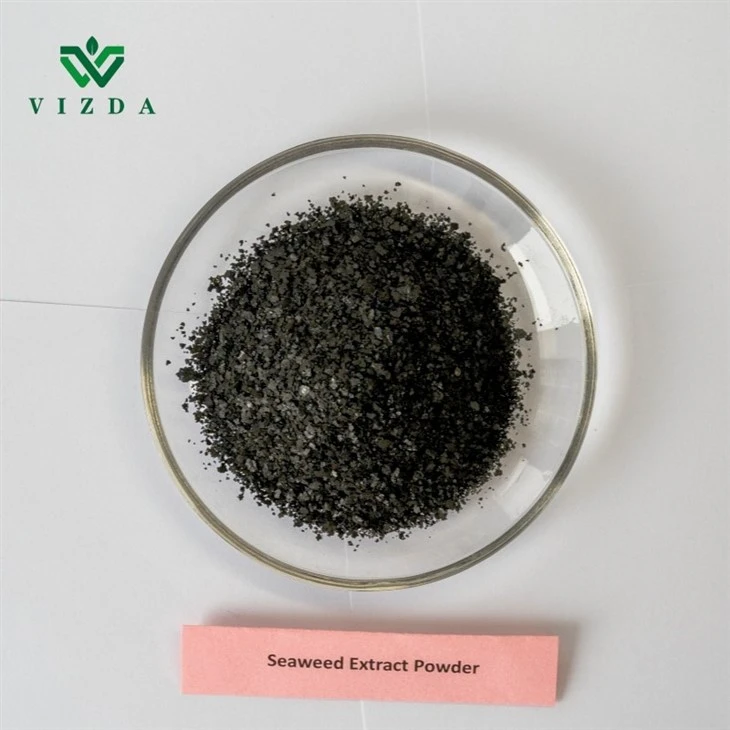 Soluble Seaweed Extract Powder